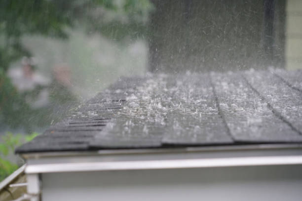 Best Asphalt Shingles Roofing  in Grant, AL