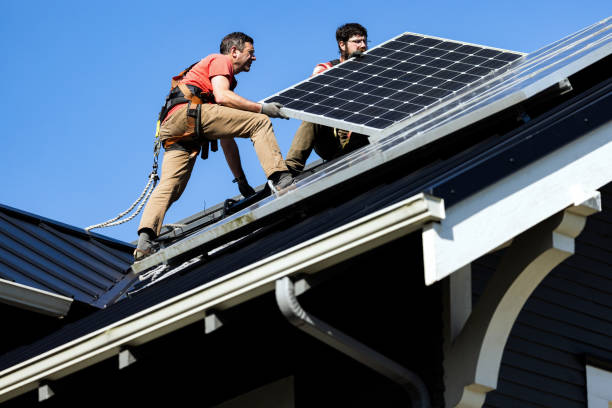 Best Roof Moss and Algae Removal  in Grant, AL